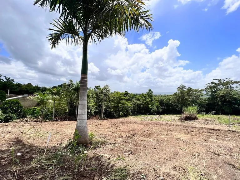 Carr 633 Lot 3 HM.KM 5.2 Barrio Barahona, MOROVIS, PR 00687 Property for sale