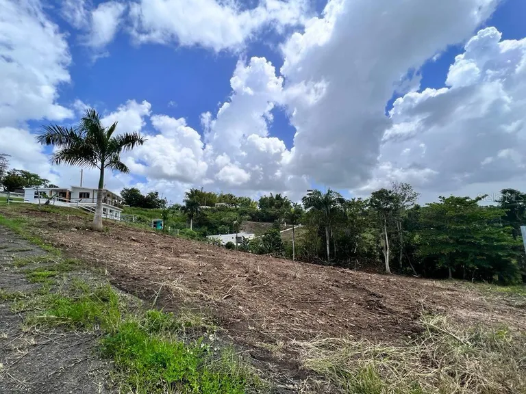 Carr 633 Lot 3 HM.KM 5.2 Barrio Barahona, MOROVIS, PR 00687 Property