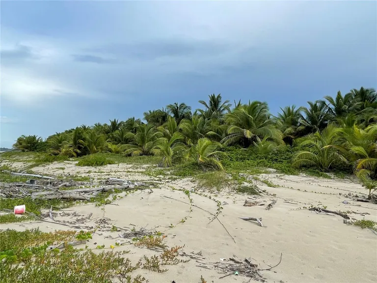 New York City Real Estate | View Km 16 Beachfront Lot Route 187 | Listing | View 20