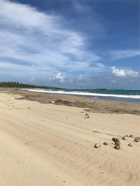 New York City Real Estate | View Km 16 Beachfront Lot Route 187 | Listing | View 8