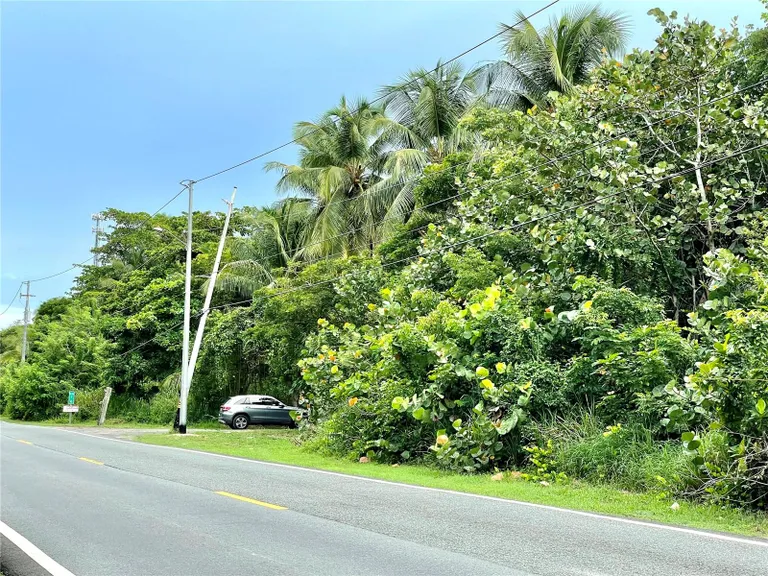 New York City Real Estate | View Km 16 Beachfront Lot Route 187 | Listing | View 4