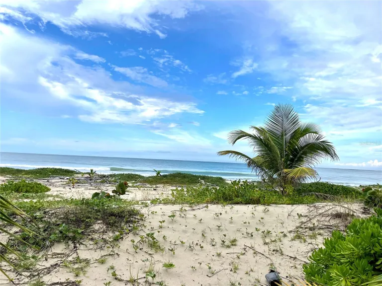 New York City Real Estate | View Km 16 Beachfront Lot Route 187 | Listing | View 15