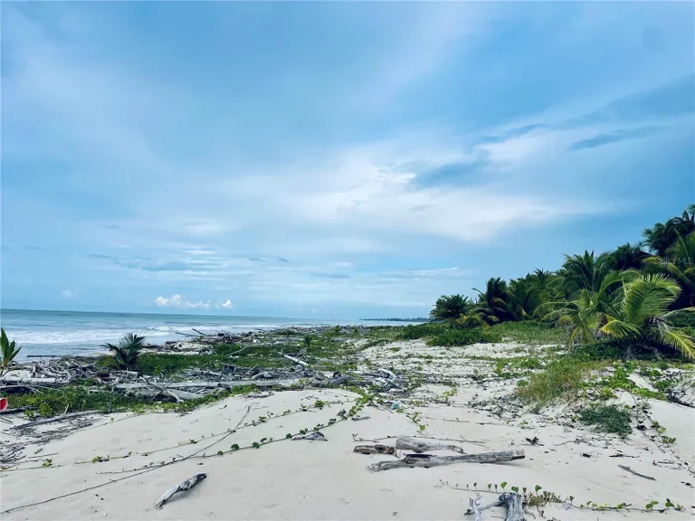 New York City Real Estate | View Km 16 Beachfront Lot Route 187 | Listing | View 16
