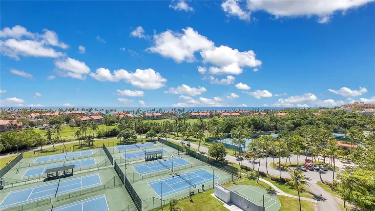 Puerto Rico Real Estate | View CANDELERO ABAJO PP10 | Listing | View 17