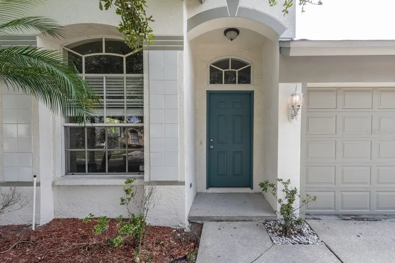 1547 Scotch Pine Drive, Brandon, FL 33511 Property for sale