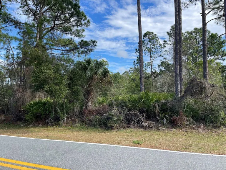 ROYAL ROYAL TRAIL RD, EUSTIS, FL 32736 Property for sale