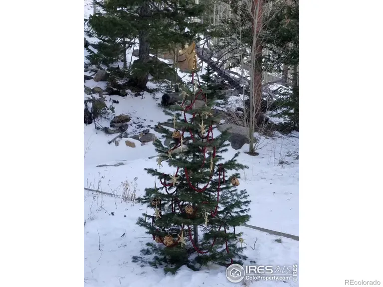 518 Meadow Mountain, Allenspark, CO 80510 Property for sale