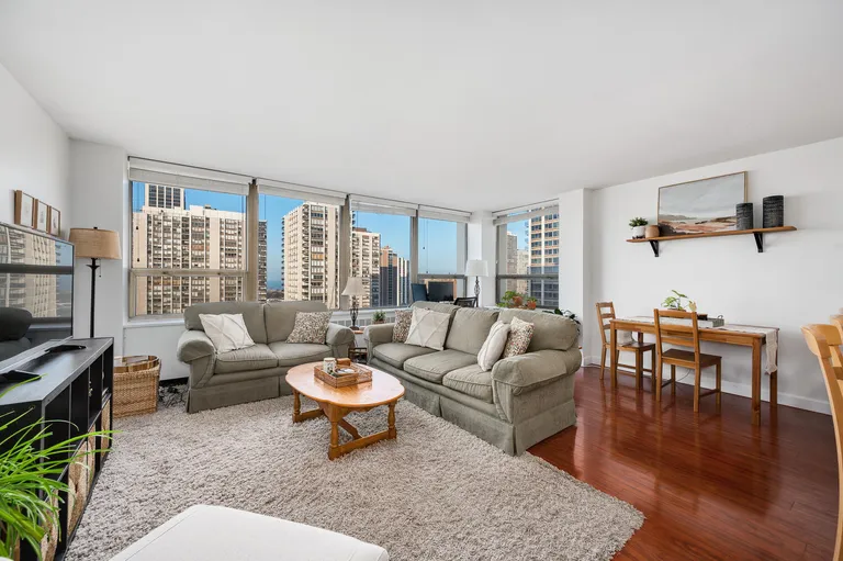 New York City Real Estate | View 1360 N Sandburg Terrace, 1908C | Listing | View 3
