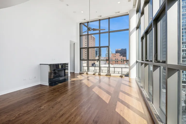 New York City Real Estate | View 150 W Superior Street, 802 | Listing | View 6