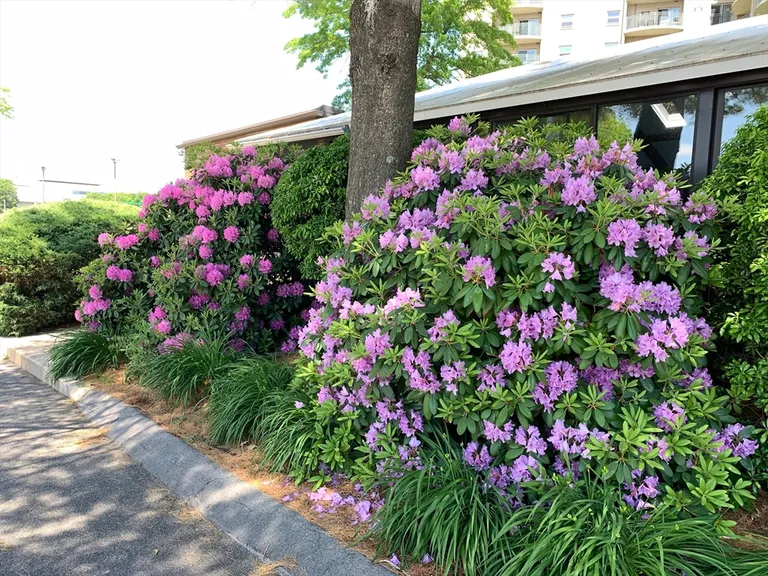 115 W Squantum St 1006, Quincy, MA 02171 Property for sale