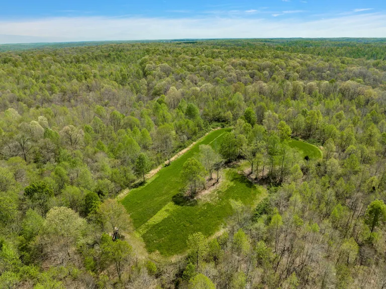 0 Mt Pleasant Cemetery Rd, Primm Springs, TN 38476 Property for sale