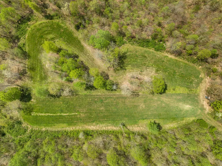 0 Mt Pleasant Cemetery Rd, Primm Springs, TN 38476 Property for sale