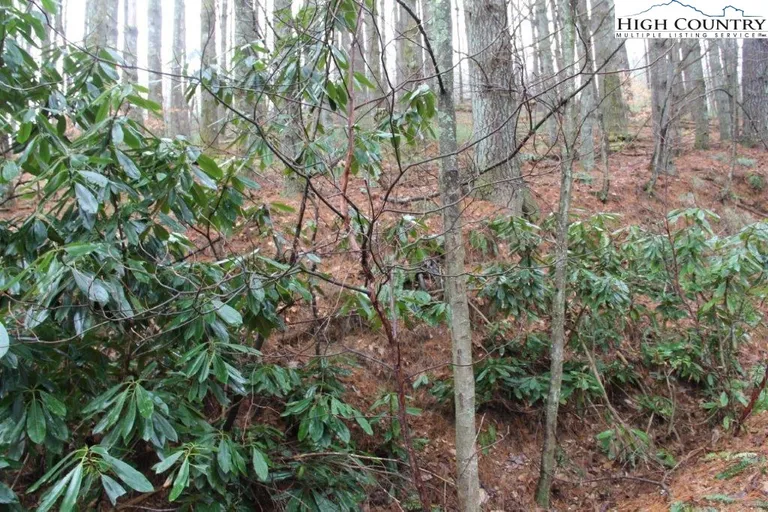 TBD North Carolina, West Jefferson, NC 28694 Property for sale