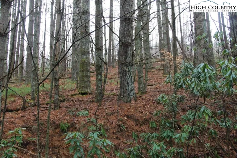 TBD North Carolina, West Jefferson, NC 28694 Property for sale