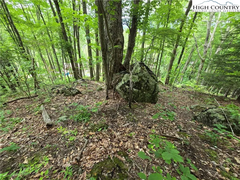 Lot C95 Foxfire, Banner Elk, NC 28604 Property for sale