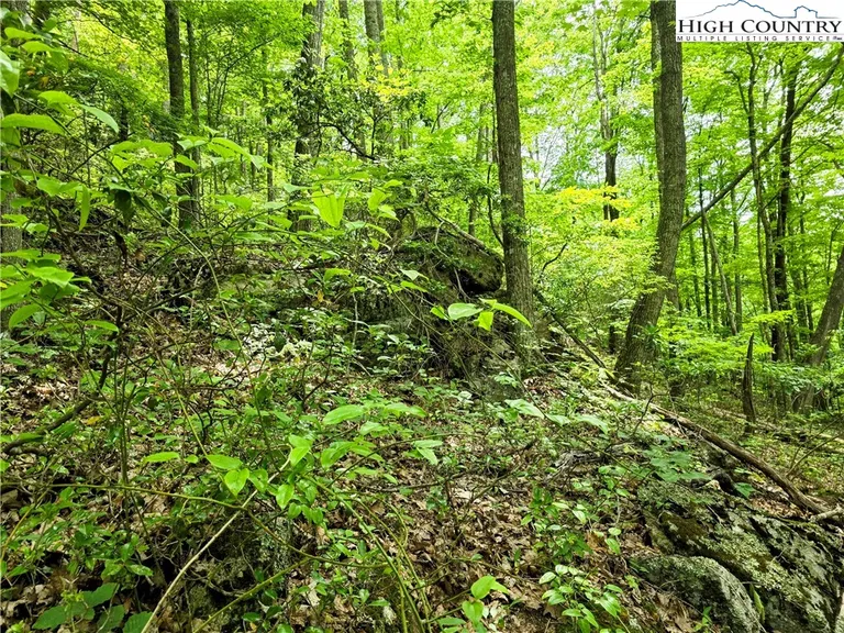 Lot C95 Foxfire, Banner Elk, NC 28604 Property for sale