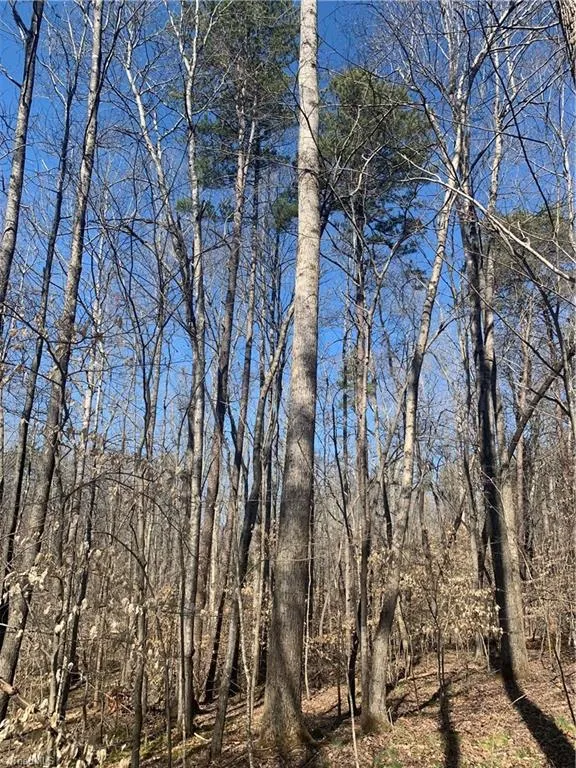 6910 Long Meadow Lane, Whitsett, NC 27377 Property for sale