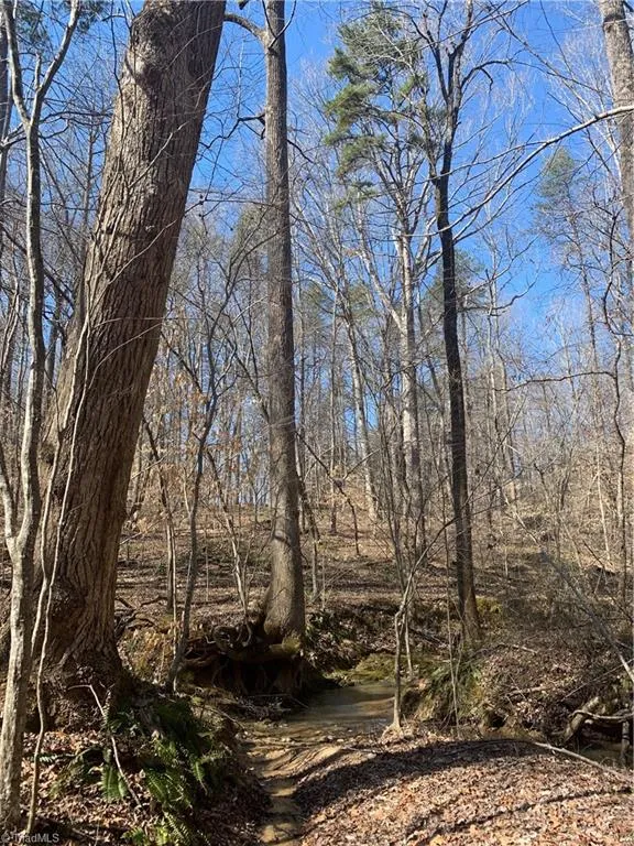 6910 Long Meadow Lane, Whitsett, NC 27377 Property for sale