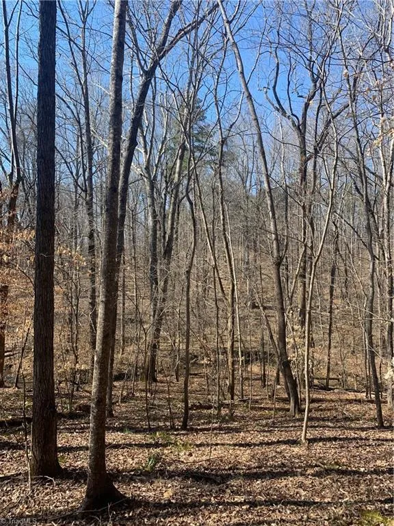 6910 Long Meadow Lane, Whitsett, NC 27377 Property for sale