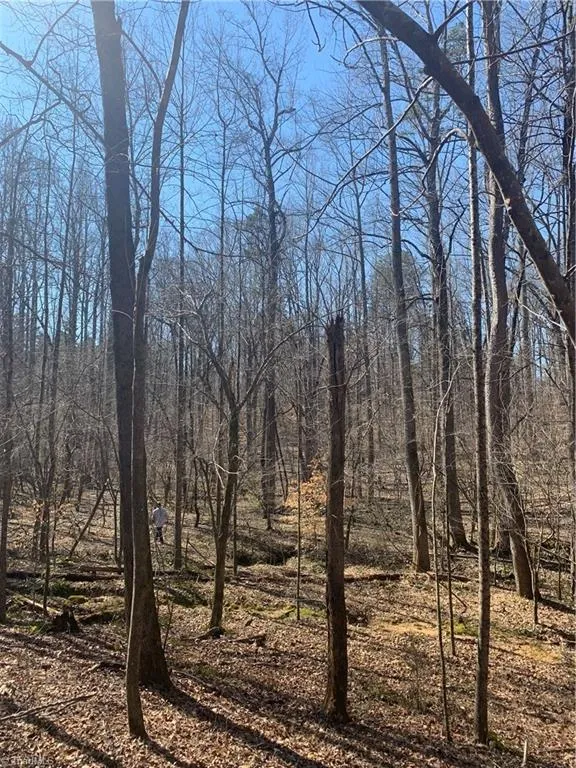 6910 Long Meadow Lane, Whitsett, NC 27377 Property for sale