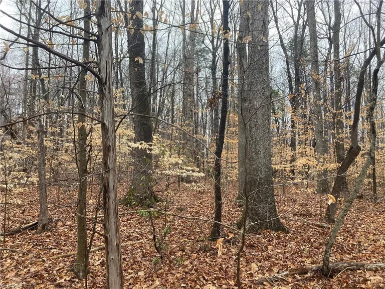 0 Zoo Parkway, Asheboro, NC 27205 Property for sale