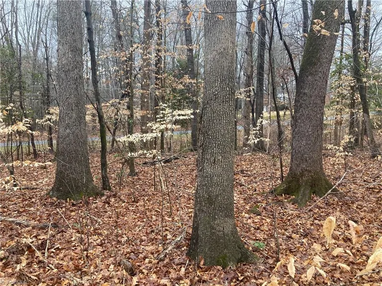 0 Zoo Parkway, Asheboro, NC 27205 Property for sale