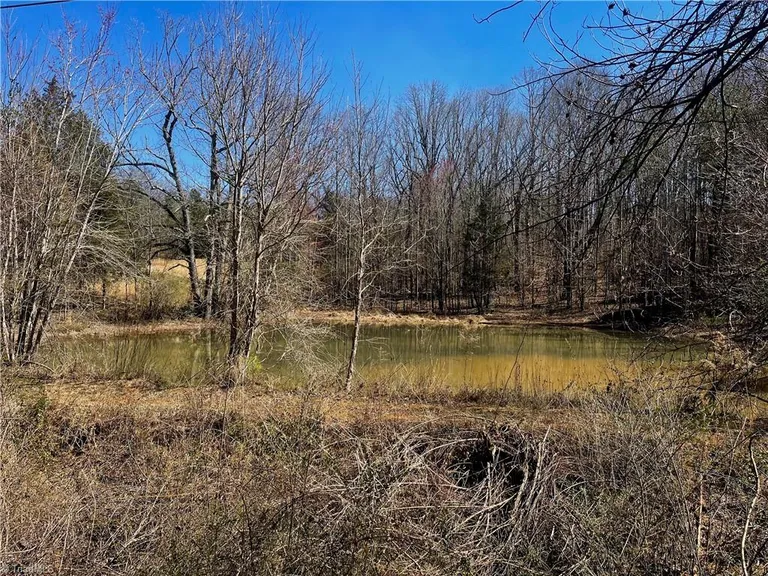 3494 Carl Allred Road, Franklinville, NC 27248 Property for sale