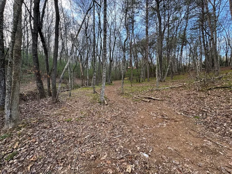 Lot 23 Blackgum Ridge, Blue Ridge, GA 30513 Property for sale