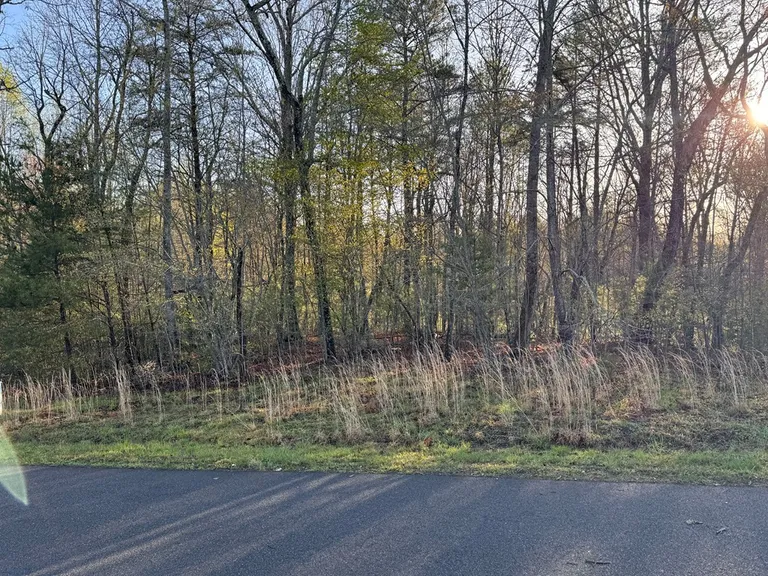 Lot 123 Fox Fields, Blairsville, GA 30512 Property for sale