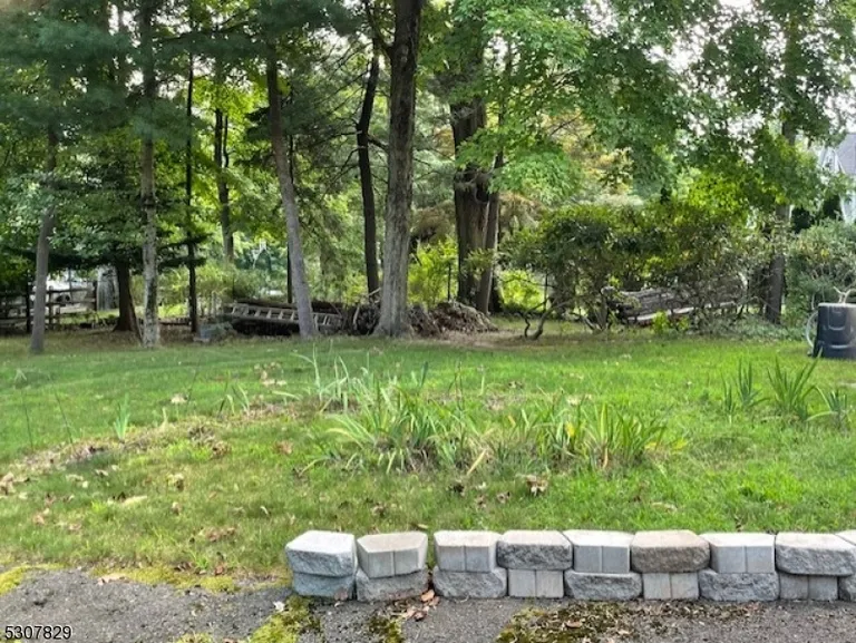 65 New St, Allendale Boro, NJ 07401 Property for sale