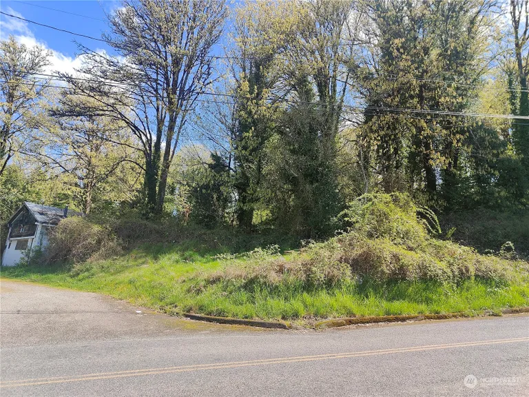 0 Cowlitz Road, Winlock, WA 98596 Property for sale