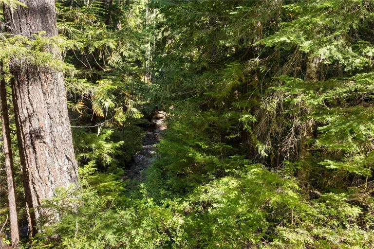 10 B USFS Road 7175 Goat Crk, Greenwater, WA 98022 Property for sale