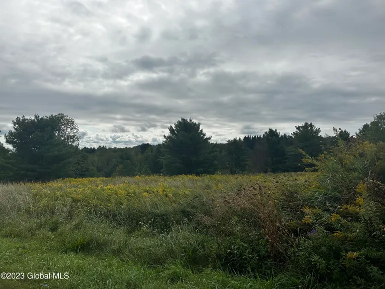 L18.4 Co Rd 410, Westerlo, NY 12193 Property for sale