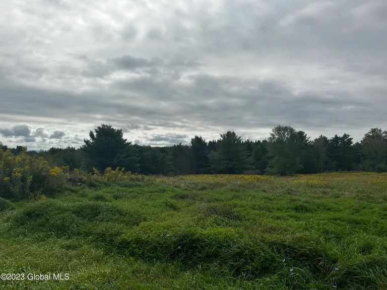 L18.4 Co Rd 410, Westerlo, NY 12193 Property for sale