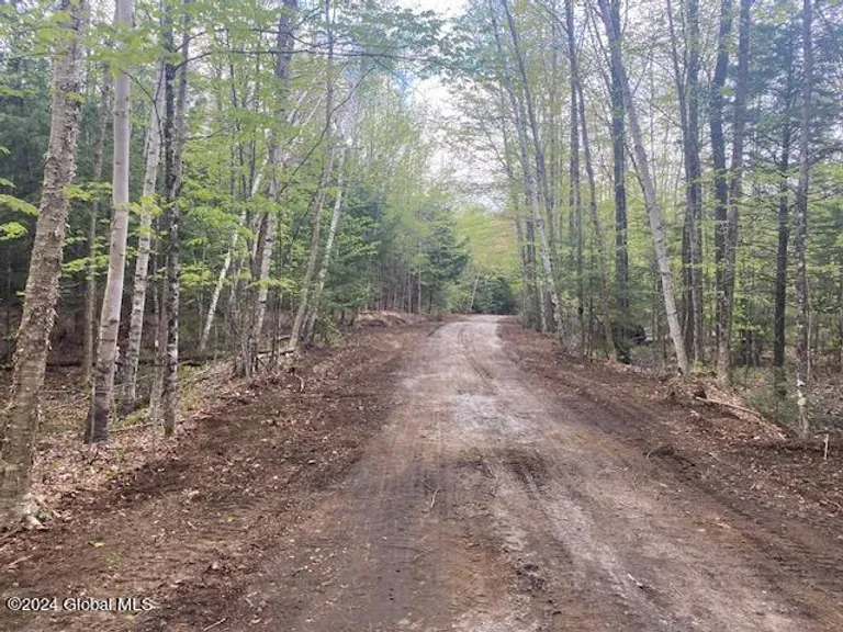 3115 Ny State Route 28, Johnsburg, NY 12853 Property for sale