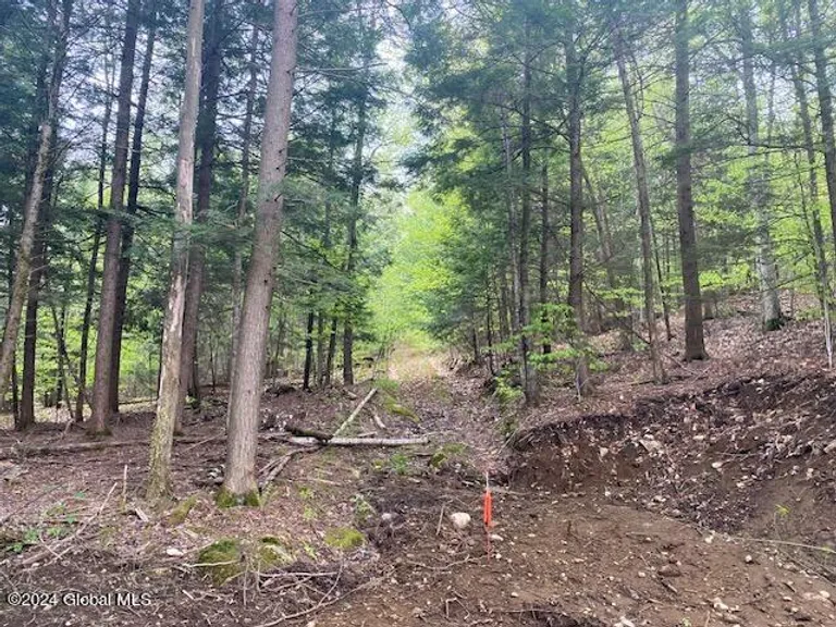 L47 Ny State Route 28, Johnsburg, NY 12853 Property for sale