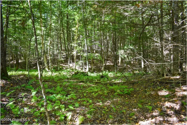 72 Carriage Knoll, Chester, NY 12817 Property for sale