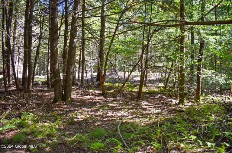 72 Carriage Knoll, Chester, NY 12817 Property for sale