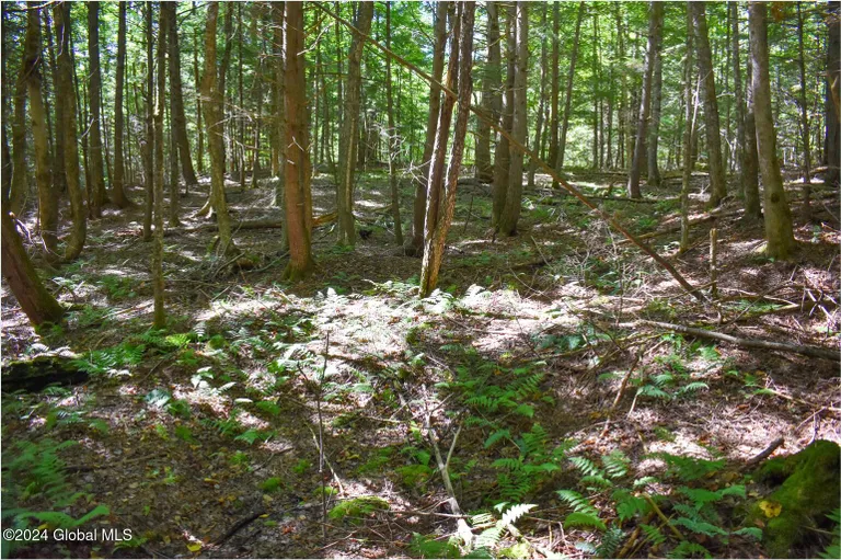 72 Carriage Knoll, Chester, NY 12817 Property for sale