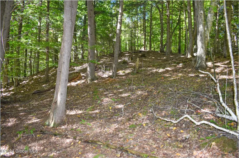 112 Carriage Knoll, Chester, NY 12817 Property for sale