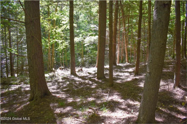 112 Carriage Knoll, Chester, NY 12817 Property for sale