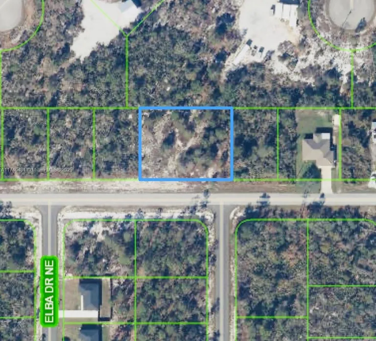 624 NE Aleutian ST, Lake Placid, FL 33852 Property for sale