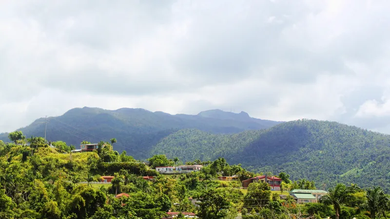 Rio Grande, PUERTO RICO [Neighborhood Guide] | The Corcoran Group
