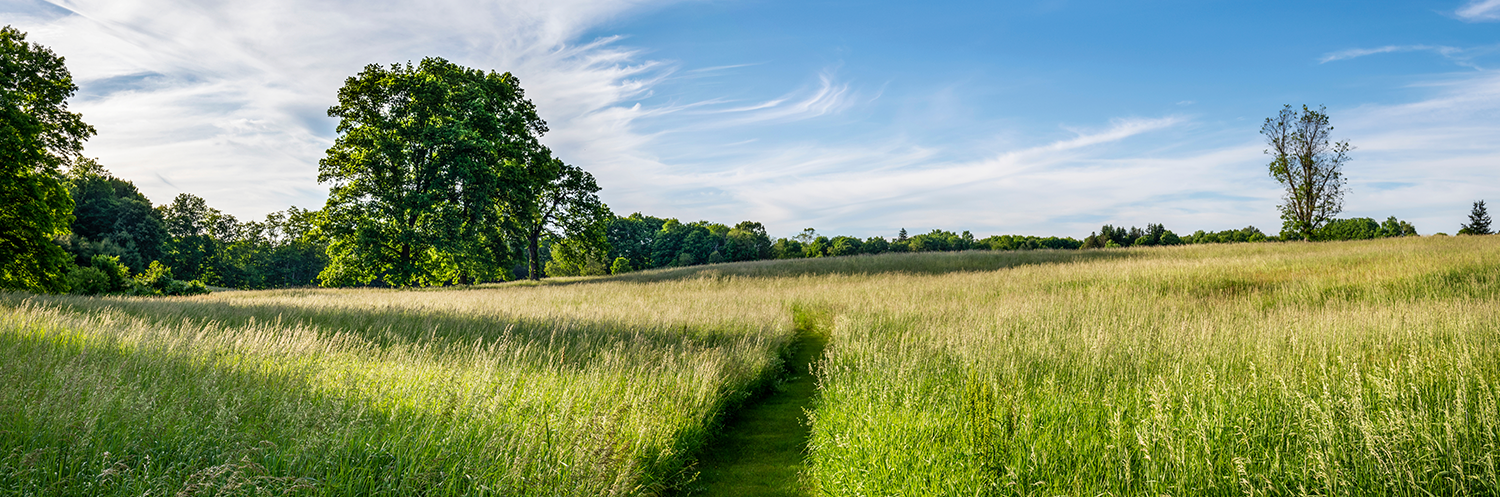 Get to know Pine Plains - neighborhood overview image