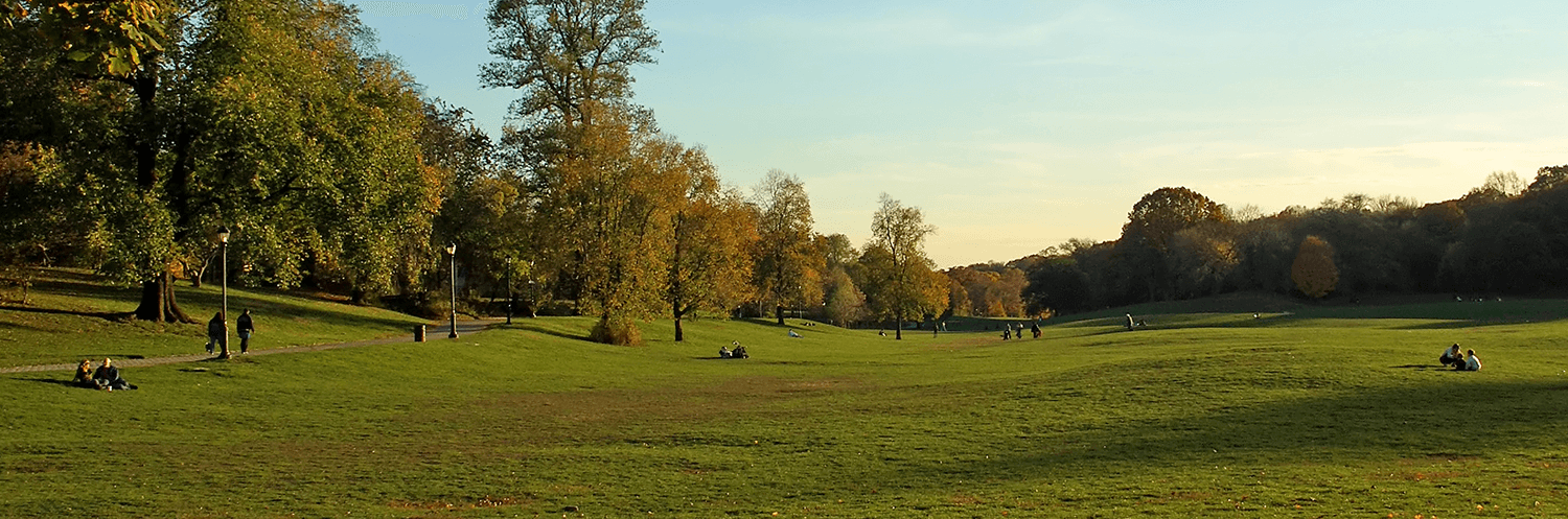 Get to know Ditmas Park - neighborhood overview image