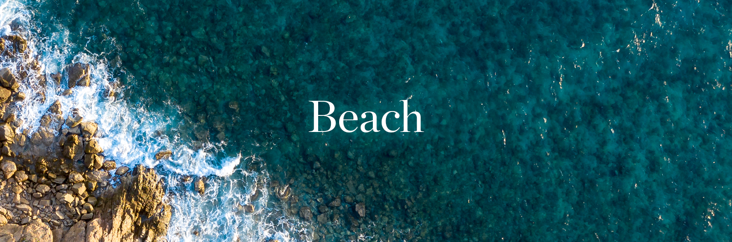 Get to know Beach - neighborhood overview image