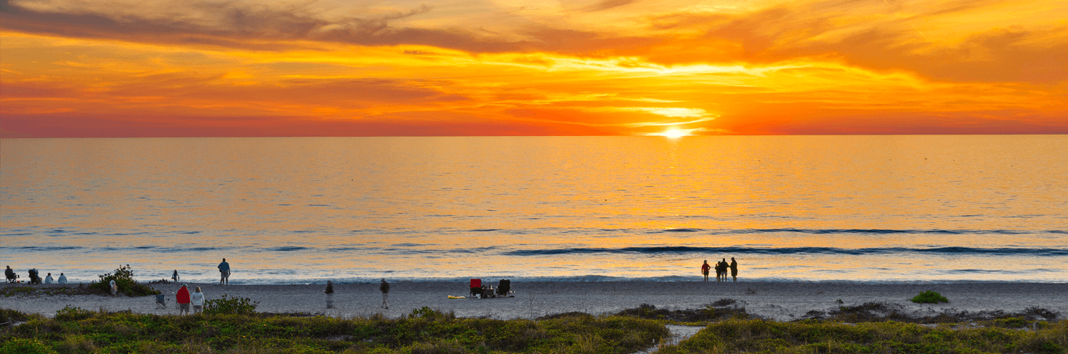 Get to know Tampa - neighborhood overview image