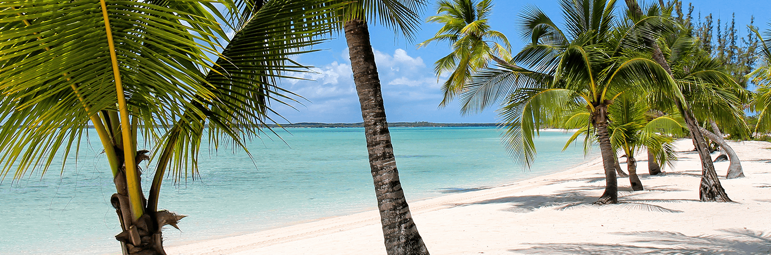 Get to know Ocean Club Estates - neighborhood overview image