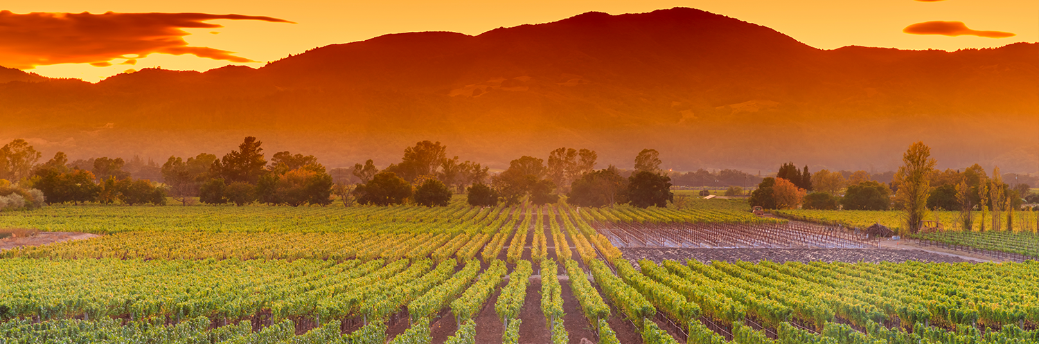 Get to know Napa - neighborhood overview image